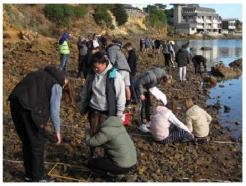A large group of students on a stony coastline using local resources